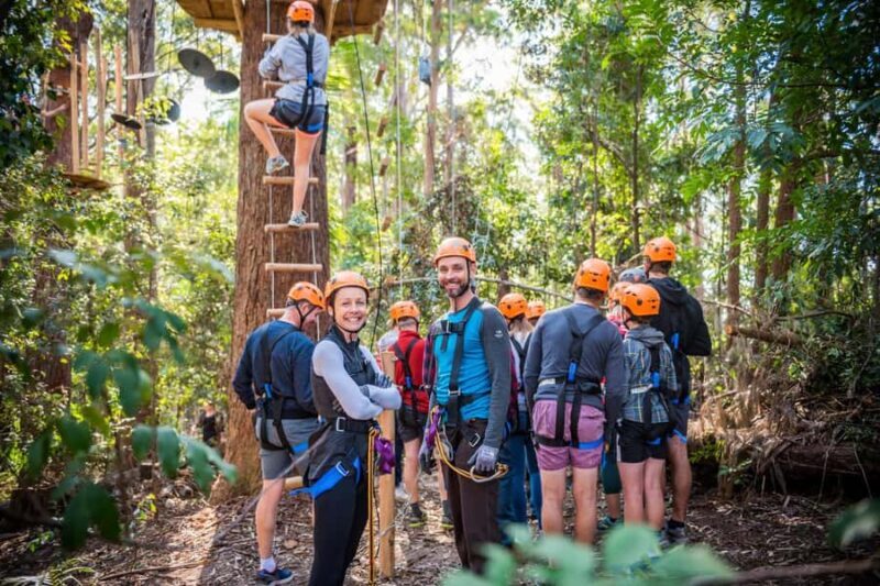 Coffs Harbour: Treetops Adventure Tree Ropes Course - Key Points  