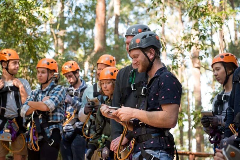 Coffs Harbour: Treetops Adventure Tree Ropes Course - An Adventure in the Trees: What to Expect