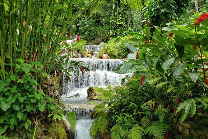 Cofresi Palm Beach & Spa Resort - Puerto Plata Airport - What’s Included and What’s Not