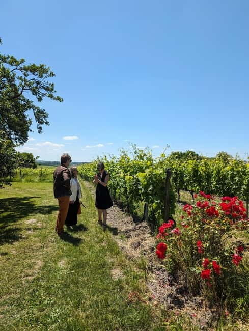 Cognac guided tour of the vineyard and visit/tasting at a winemaker's estate - Key Points