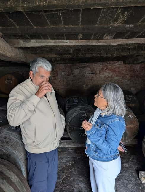 Cognac guided tour of the vineyard and visit/tasting at a winemaker's estate - A Scenic Ride Through the Vineyards