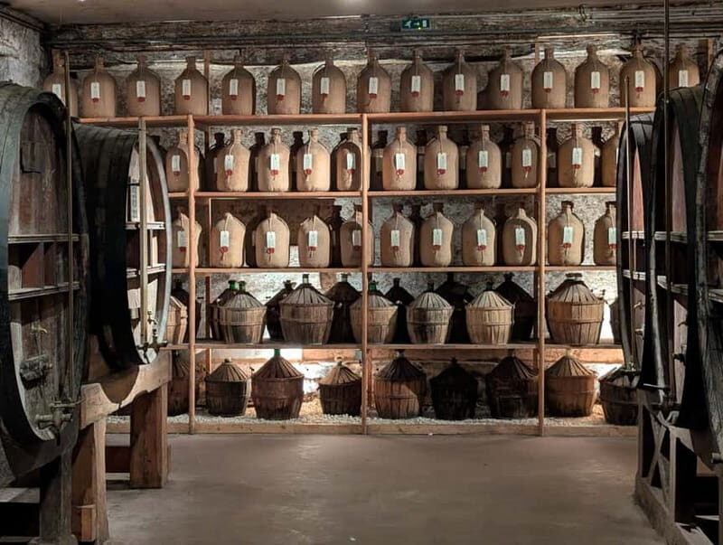 Cognac guided tour of the vineyard and visit/tasting at a winemaker's estate - Who Will Love This Tour?