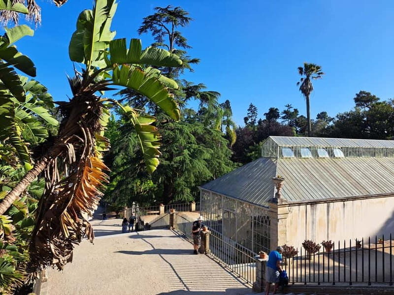 Coimbra: Adventure, Discovery & Learning with a Local - Why This Tour Is Worth It