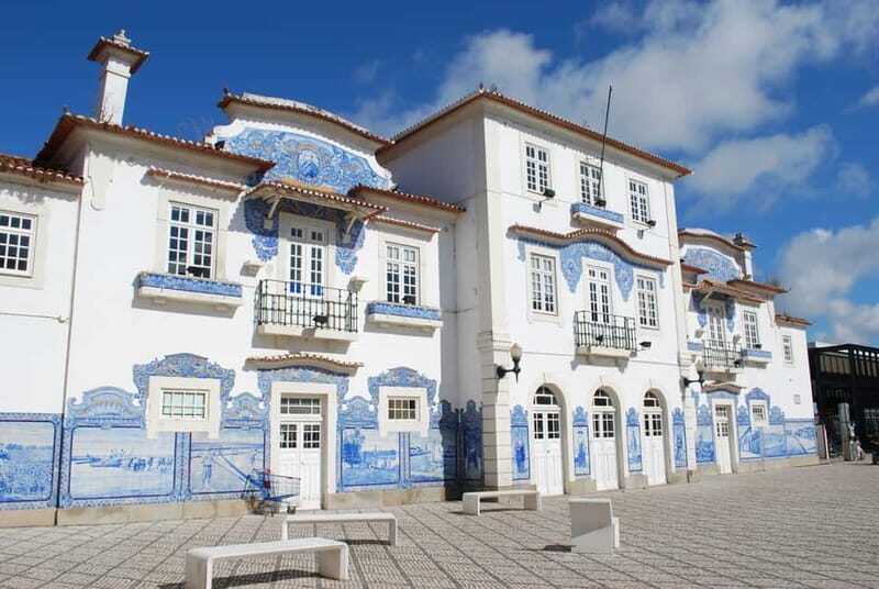 Coimbra & Aveiro Private Tour  Customizable Experience - Final Thoughts  
