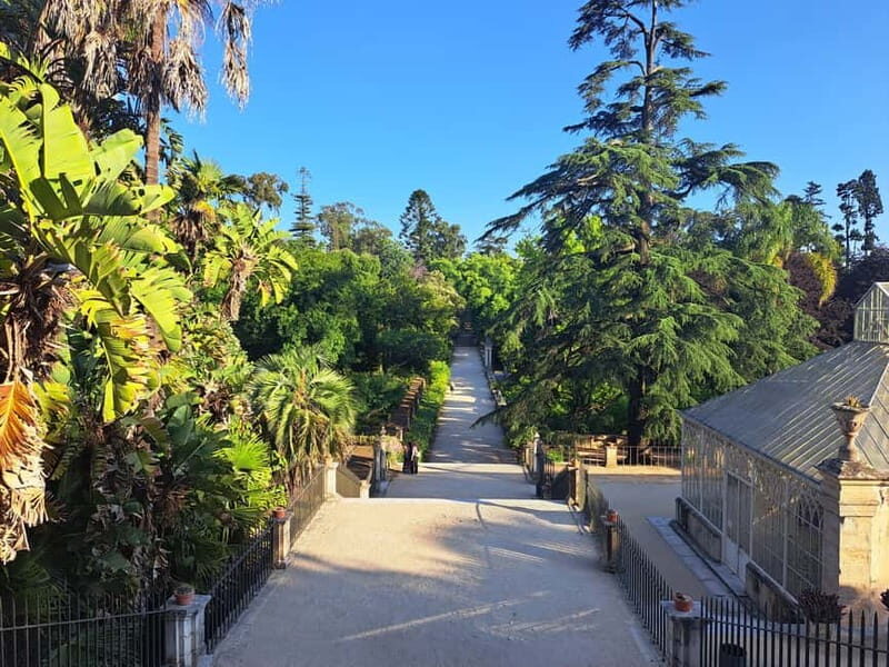 Coimbra Botanical Garden Tour: Storytelling Through Nature - Key Points