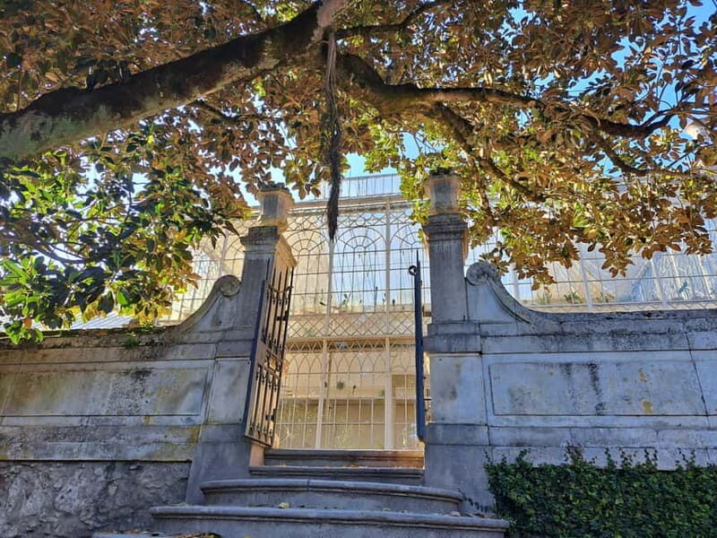 Coimbra Botanical Garden Tour: Storytelling Through Nature - An In-Depth Look at the Coimbra Botanical Garden Tour