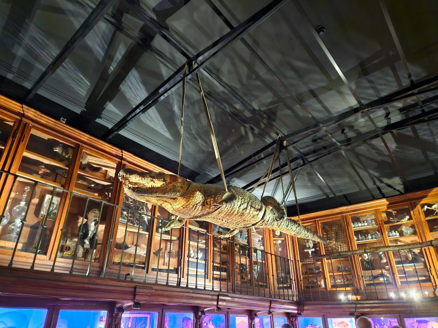 COIMBRA FULL DAY PRIVATE TOUR FROM LISBON - Itinerary