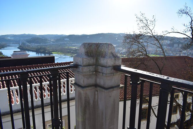 Coimbra gastronomic experience - Aveiro boat ride From Lisbon - Who Is This Tour Best For?