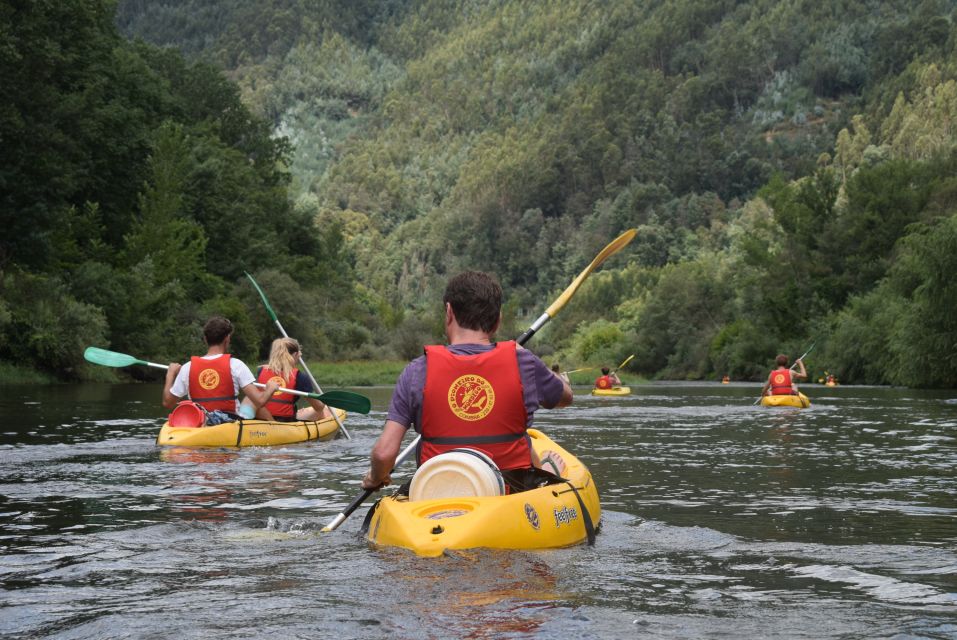 Coimbra: Mondego River Kayaking Tour - Tour Logistics