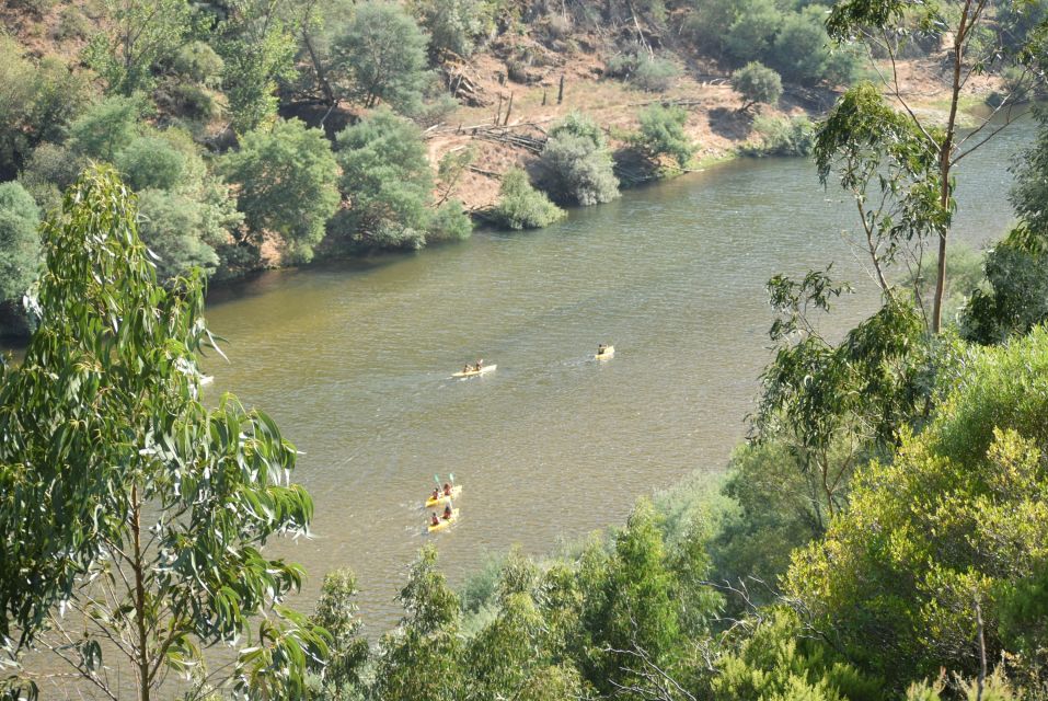 Coimbra: Mondego River Kayaking Tour - What to Bring