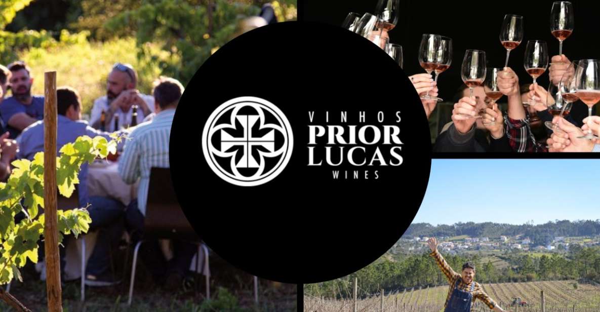 Coimbra: Prior Lucas Wine Experience - Key Points