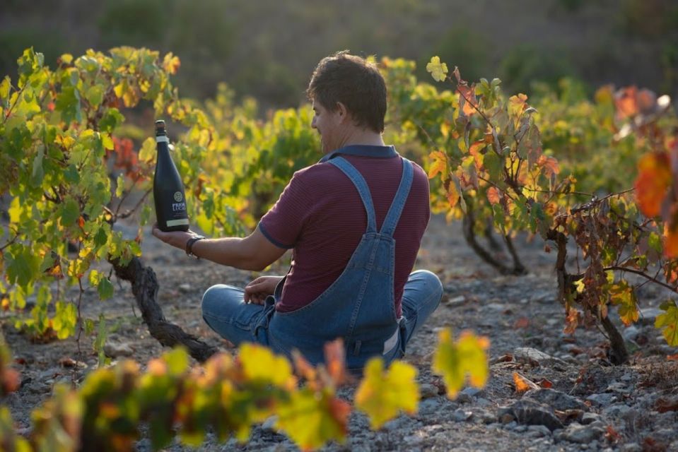 Coimbra: Prior Lucas Winery and Vineyard Visit With Tastings - Sparkling Wine Tasting