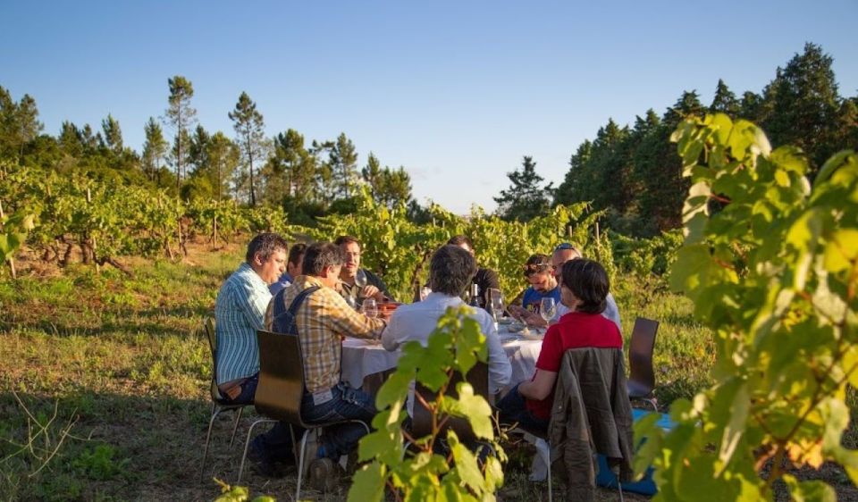 Coimbra: Prior Lucas Winery and Vineyard Visit With Tastings - Red Wine Tasting
