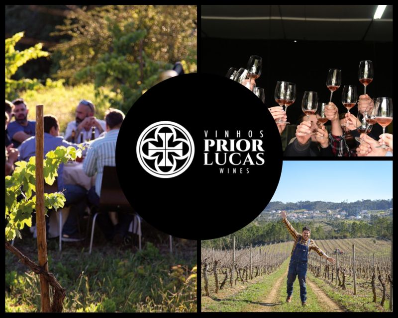 Coimbra: Prior Lucas Winery and Vineyard Visit With Tastings - Olive Oil Tasting
