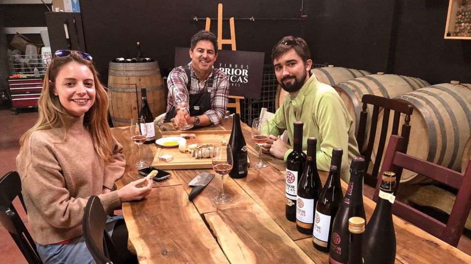 Coimbra: Prior Lucas Winery and Vineyard Visit With Tastings - Appetizers and Pairings