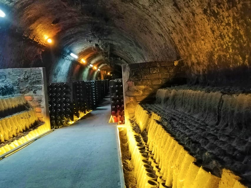 Coimbra: Rota da Bairrada gastronomic tour - What to Expect from the Tour Experience