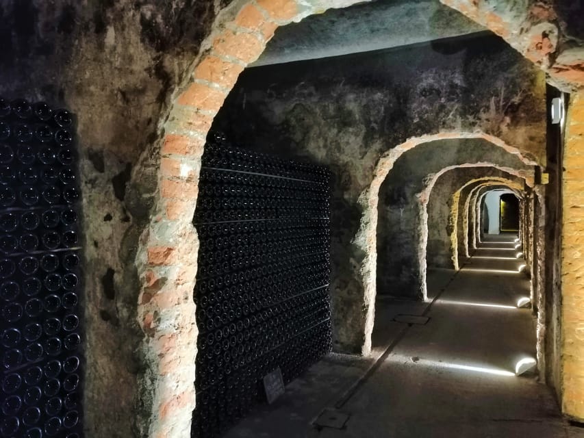 Coimbra: Rota da Bairrada gastronomic tour - Who Should Consider This Tour?