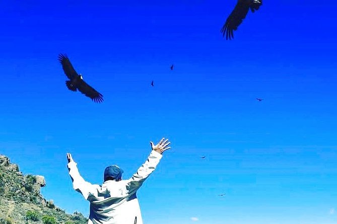 Colca Full Day - Inclusions and Exclusions