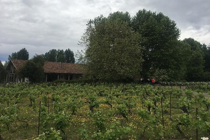 Colchagua Valley - Pricing and Booking Options