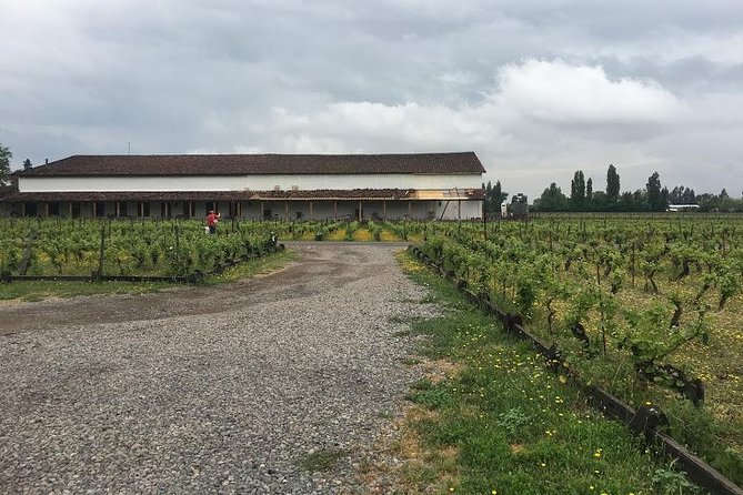 Colchagua Valley - Customer Feedback and Ratings