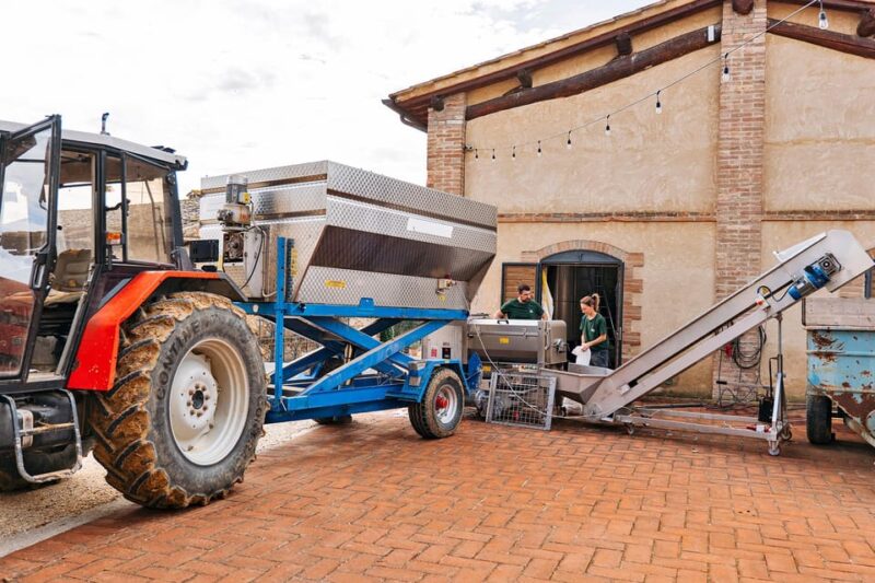 Colle Val Delsa: Tour and a Tasting of an Authentic Farm - Guided Tour Details