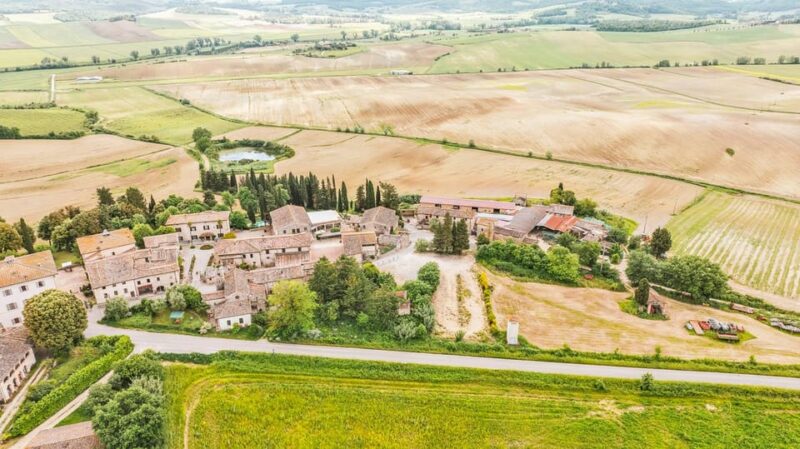 Colle Val Delsa: Tour and a Tasting of an Authentic Farm - Exploring the Wine Cellar, Olive Mill, and Brewery