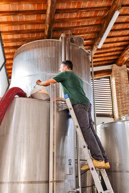 Colle Val Delsa: Tour and a Tasting of an Authentic Farm - Recommendations for Visitors
