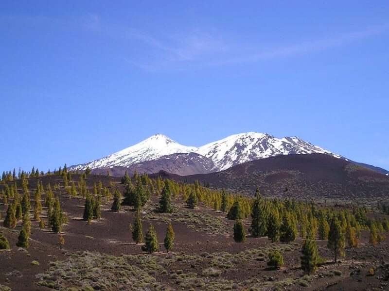 Collective Adventure: Travel & Volunteer in Tenerife - Volunteering Opportunities