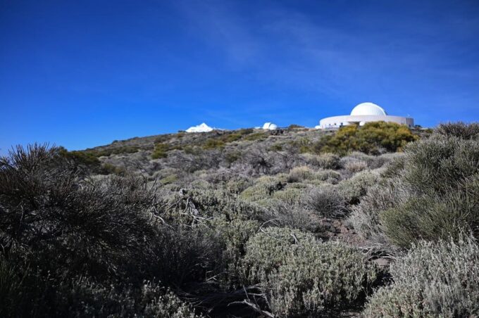 Collective Adventure: Travel & Volunteer in Tenerife - Travel Requirements and Preparation
