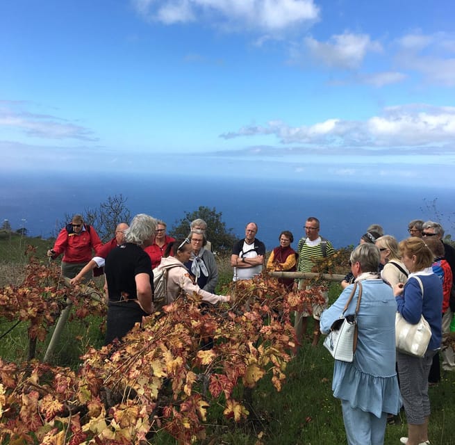 Collective Adventure: Travel & Volunteer in Tenerife - Collective Adventure Community