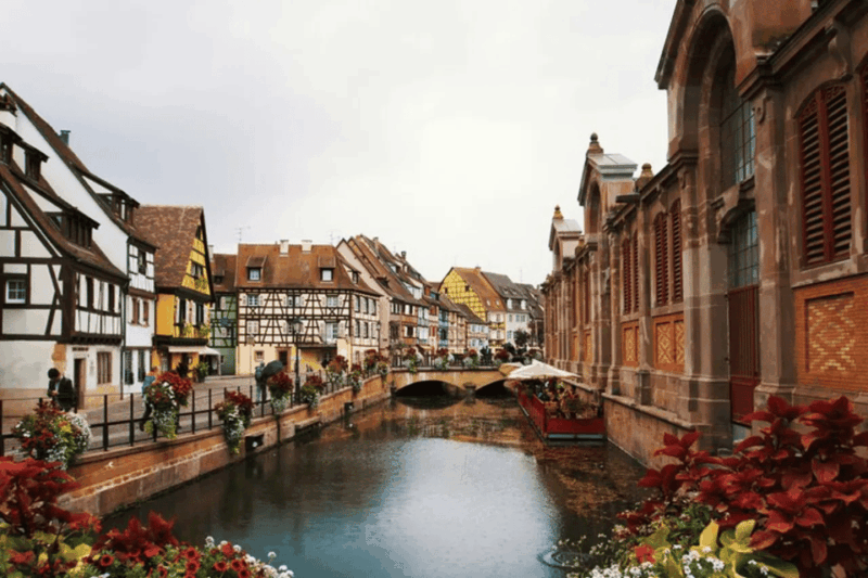 Colmar: Christmas Market and City Highlights Walking Tour - Important Information