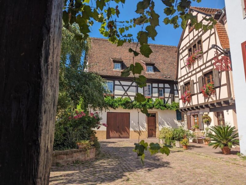 Colmar: Unusual Walking Tour With a Local Guide - Journey Through the Middle Ages