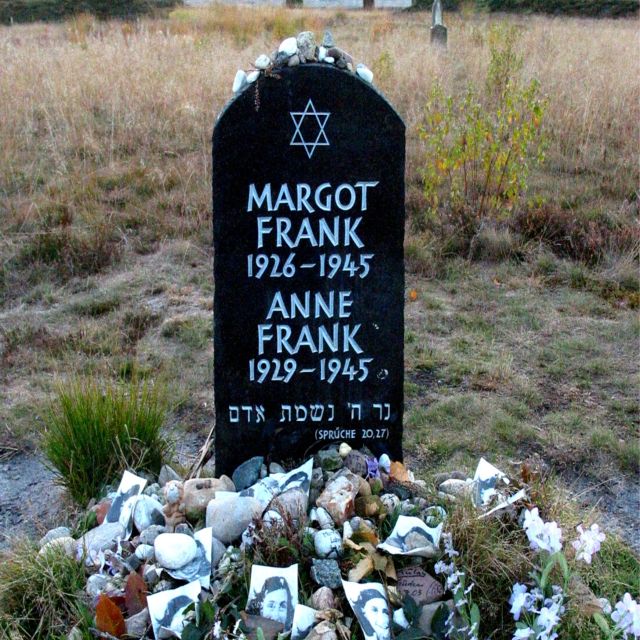 Cologne: Bergen-Belsen Memorial Guided Private Tour - Key Points