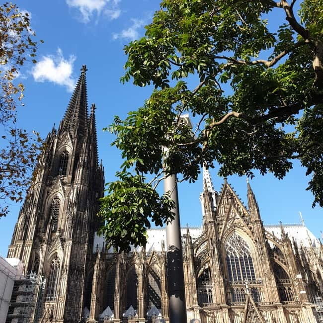 Cologne Biathlon Tour - The Sum Up: Who Should Consider the Cologne Biathlon Tour?