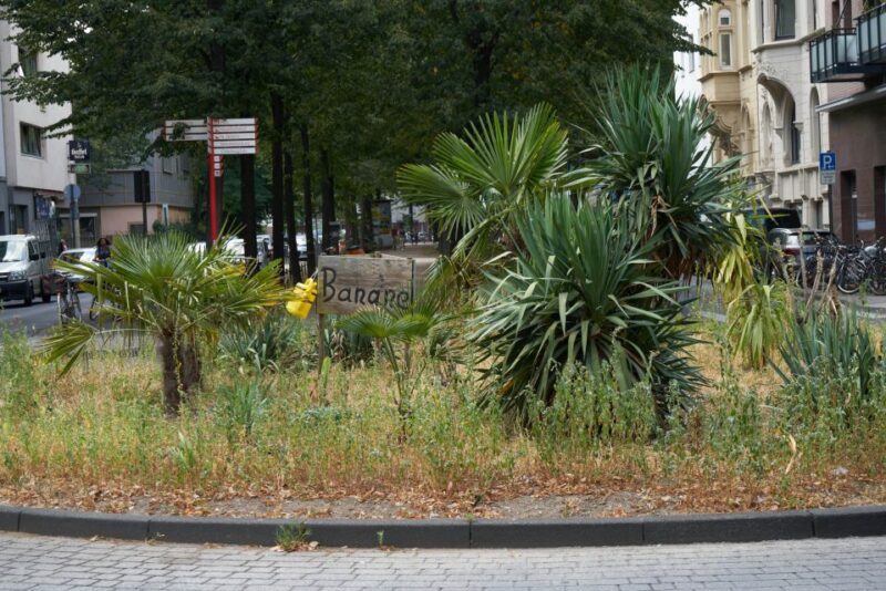 Cologne: Südstadt Guided Foodie Walking Tour - Cultural Insights