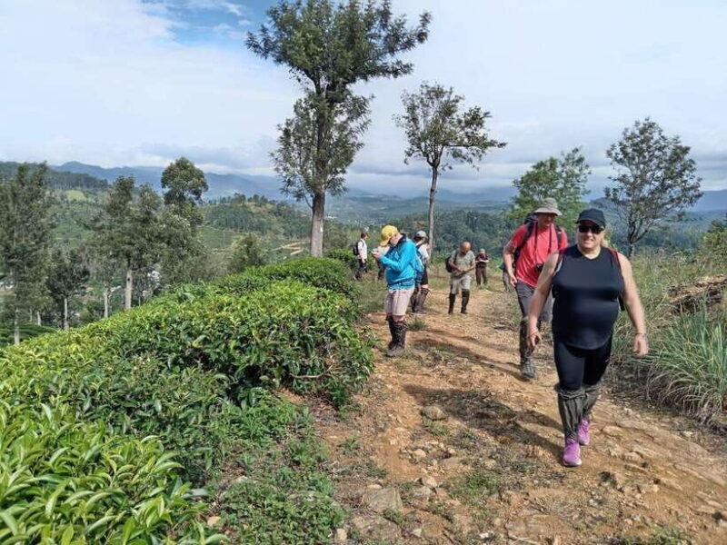 Colombo: 5-Day Hill Country Trekking Itinerary to Ella - Colombo: 5-Day Hill Country Trekking Itinerary to Ella