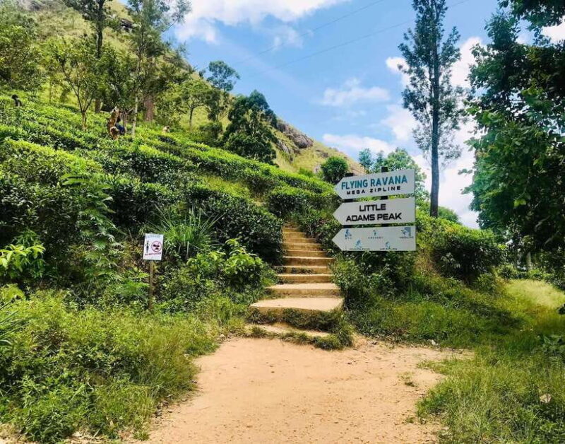 Colombo: 5-Day Hill Country Trekking Itinerary to Ella - Final Words