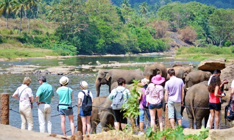 Colombo 6-Day Private Trip Culture, Nature, Wildlife, Beach - Frequently Asked Questions