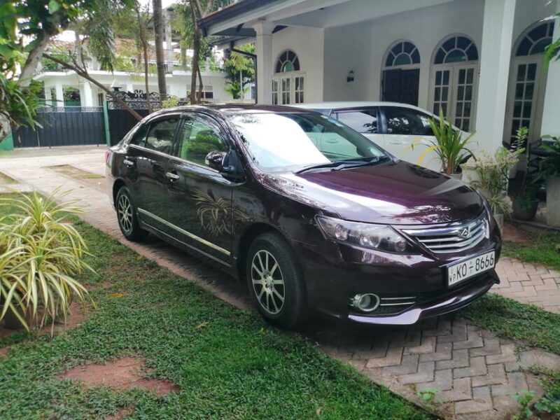 Colombo Airport Transfer: Weligama/Mirissa - Good To Know