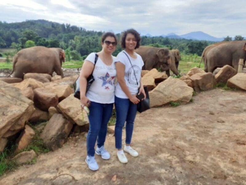 Colombo City To Kandy City Private Transfer - Optional Sightseeing