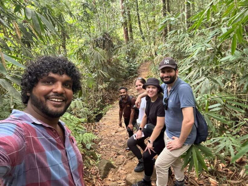 Colombo/Cmb/ Sinharaja Rainforest Day Trip with Lunch - Discover the Wilderness of Sinharaja on a Day Trip from Colombo
