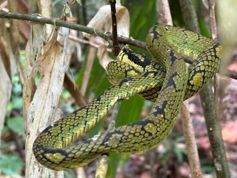 Colombo/Cmb/ Sinharaja Rainforest Day Trip with Lunch - Final Thoughts