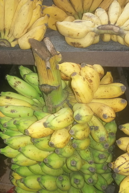 Colombo: Guided Tuk Tuk Tour With Tropical Fruit Tasting - Itinerary Highlights