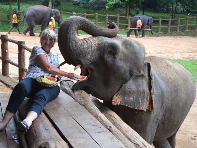 Colombo: Kandy and Pinnawala Day Trip With Free Hotel Pickup - Important Information and Preparation