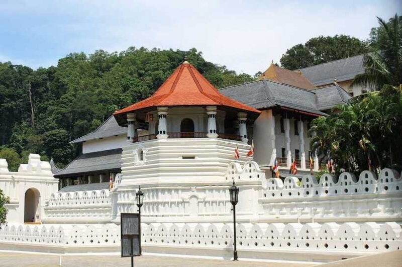 Colombo: Kandy and Pinnawala full day trip - The Sum Up