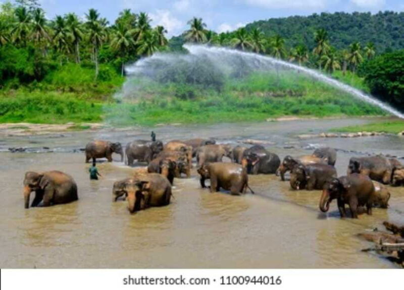 Colombo: Kandy and Pinnawala full day trip - FAQ