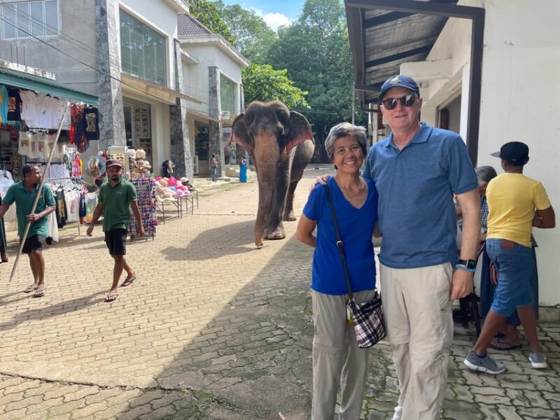 Colombo: Kandy Full Day Tour With Tea Factory Cultural Show - Inclusions and Exclusions