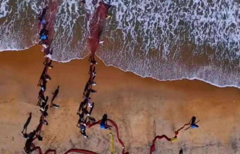 Colombo/ Negombo : Galle Fort & Bentota Beach Day Tour - Key Points