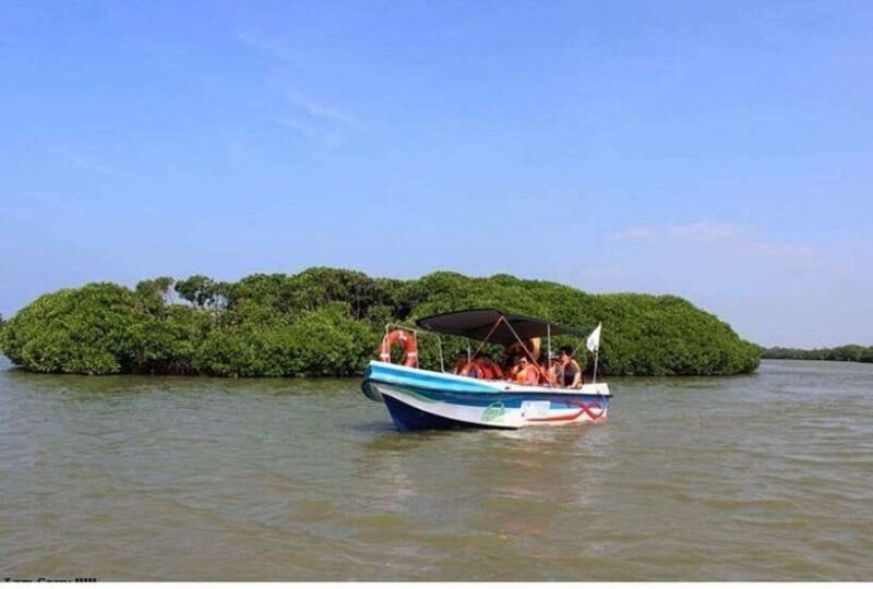 Colombo/Negombo: Muthurajawela & Dutch Canal Boat Adventure - Introduction: Why Choose This Tour?