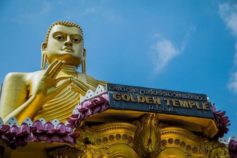 Colombo/Negombo: Sigiriya, Dambulla, and Minneriya Safari - Convenience and Transportation